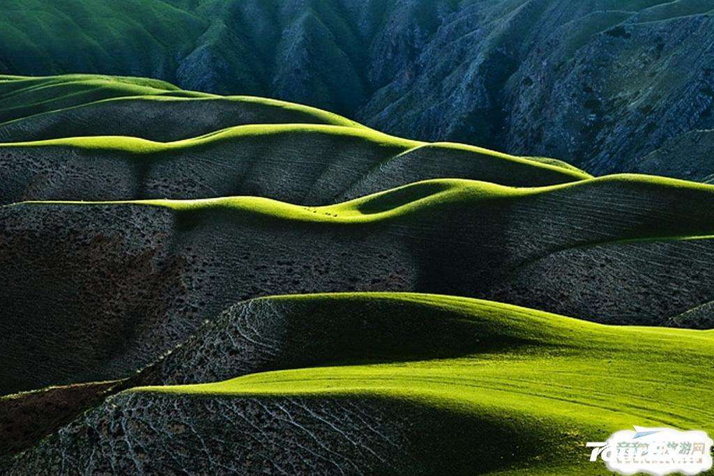 伊犁旅游應該怎么玩