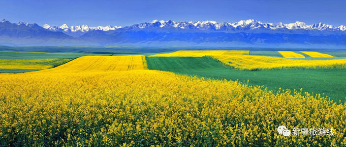 伊犁旅游線路
