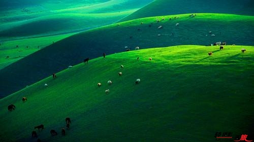 伊犁杏花溝 伊犁杏花溝