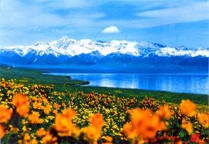 賽里木湖 賽里木湖