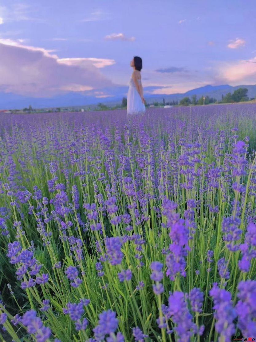 d5df9b9e394e7ecdcd2cdb1619afb12 d5df9b9e394e7ecdcd2cdb1619afb12