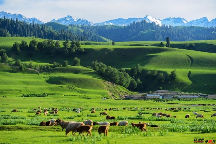 3-23022Q2511T 3-23022Q2511T