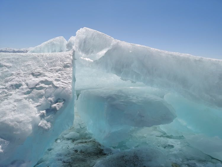 在那杏花盛開的地方
