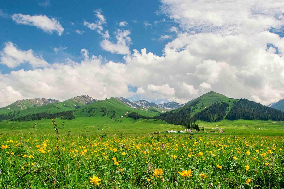 【天喀伊戀】北疆環線12天11晚拼車小團 （烏魯木齊進出）