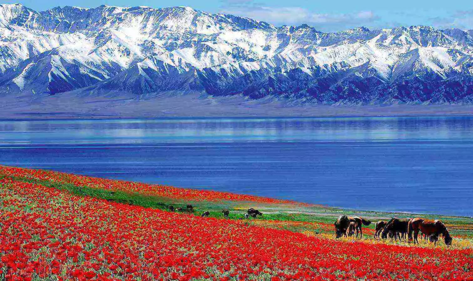 【小眾伊犁】伊犁環線8天7晚拼車小團（烏魯木齊進出）