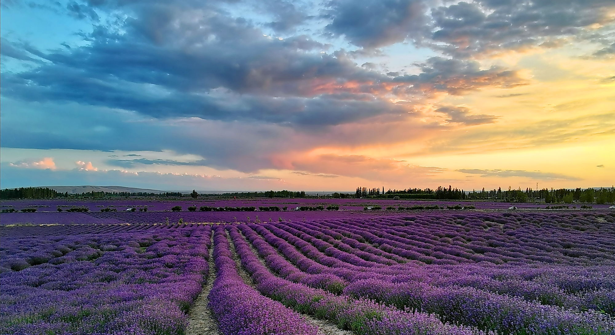 【伊山傍水7天6晚】烏魯木齊起止