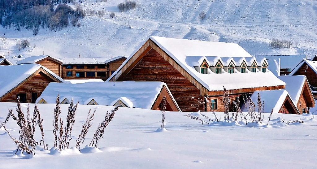 伊犁必玩景點行程攻略