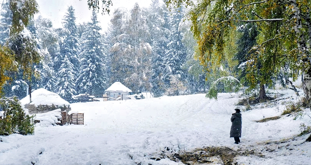 伊犁包車游多少錢一天？