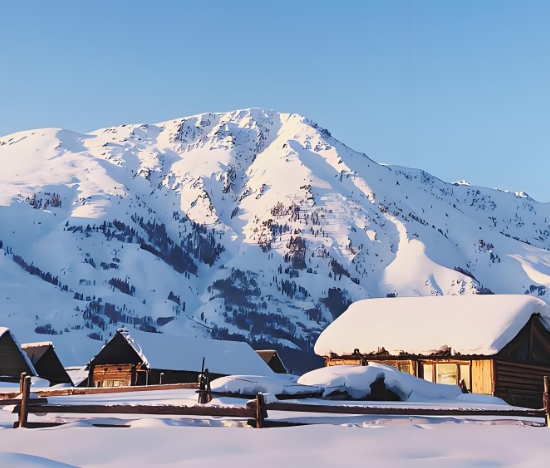 微信截圖_20241116111344