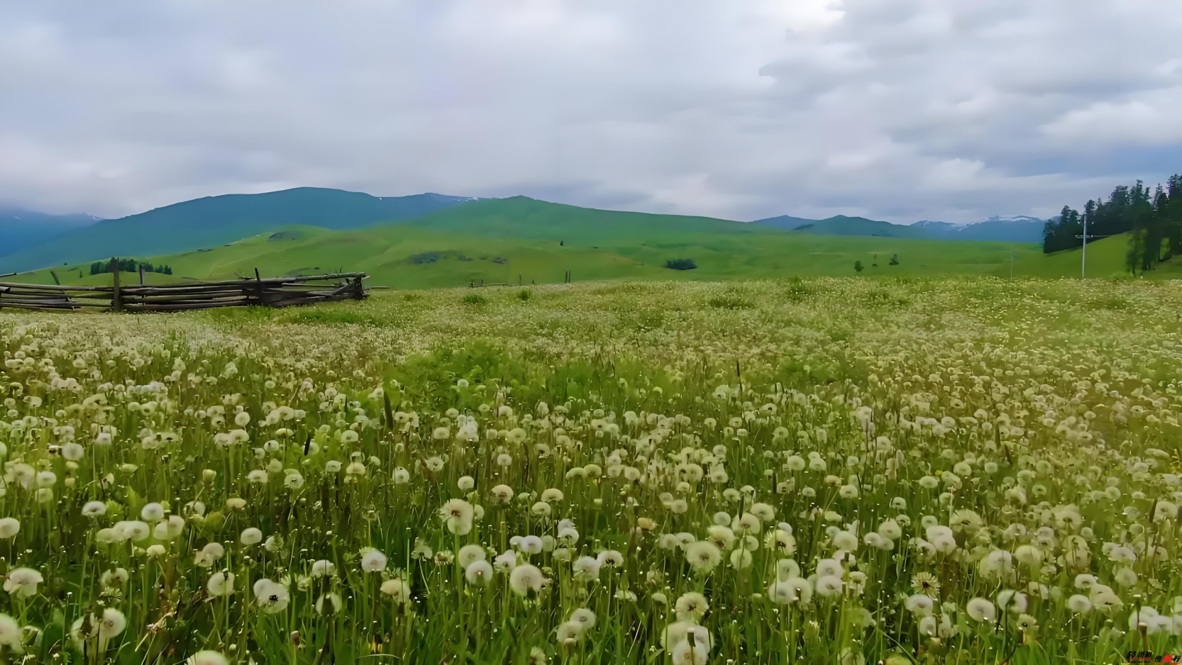 780ed33c-b2ad-4745-814a-29a28714f22a 780ed33c-b2ad-4745-814a-29a28714f22a