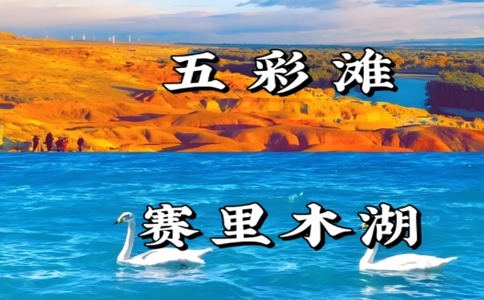 微信截圖_20241126114824