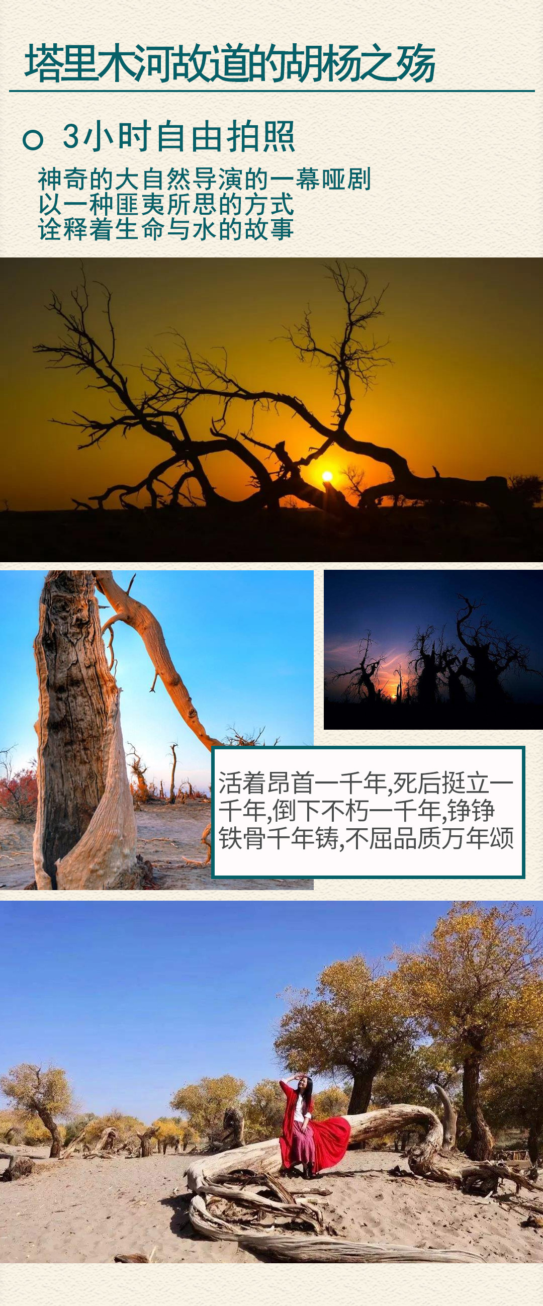 偶遇疆南2025詳情圖1_11 偶遇疆南2025詳情圖1_11