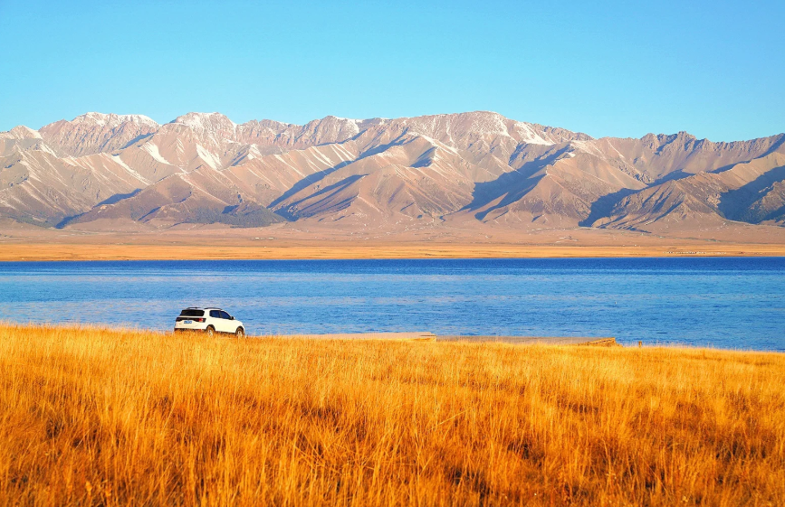 新疆當地旅游團聯系方式