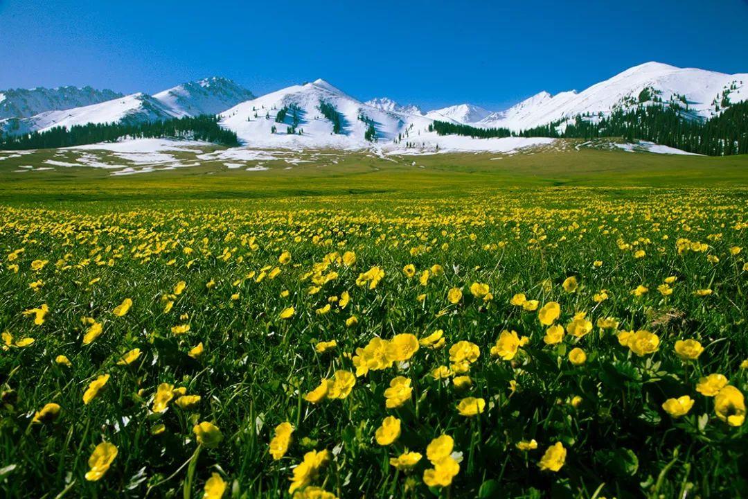 src=http___mmbiz.qpic.cn_mmbiz_jpg_EiaCHsw5hO5KeTEqRJicxXcEC