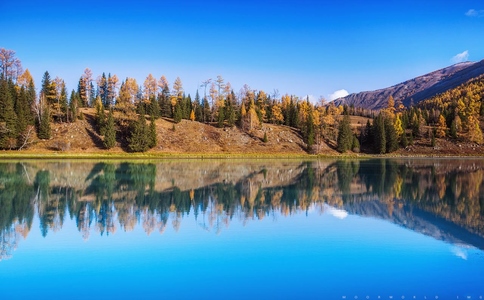 2025-02-12_喀納斯_3