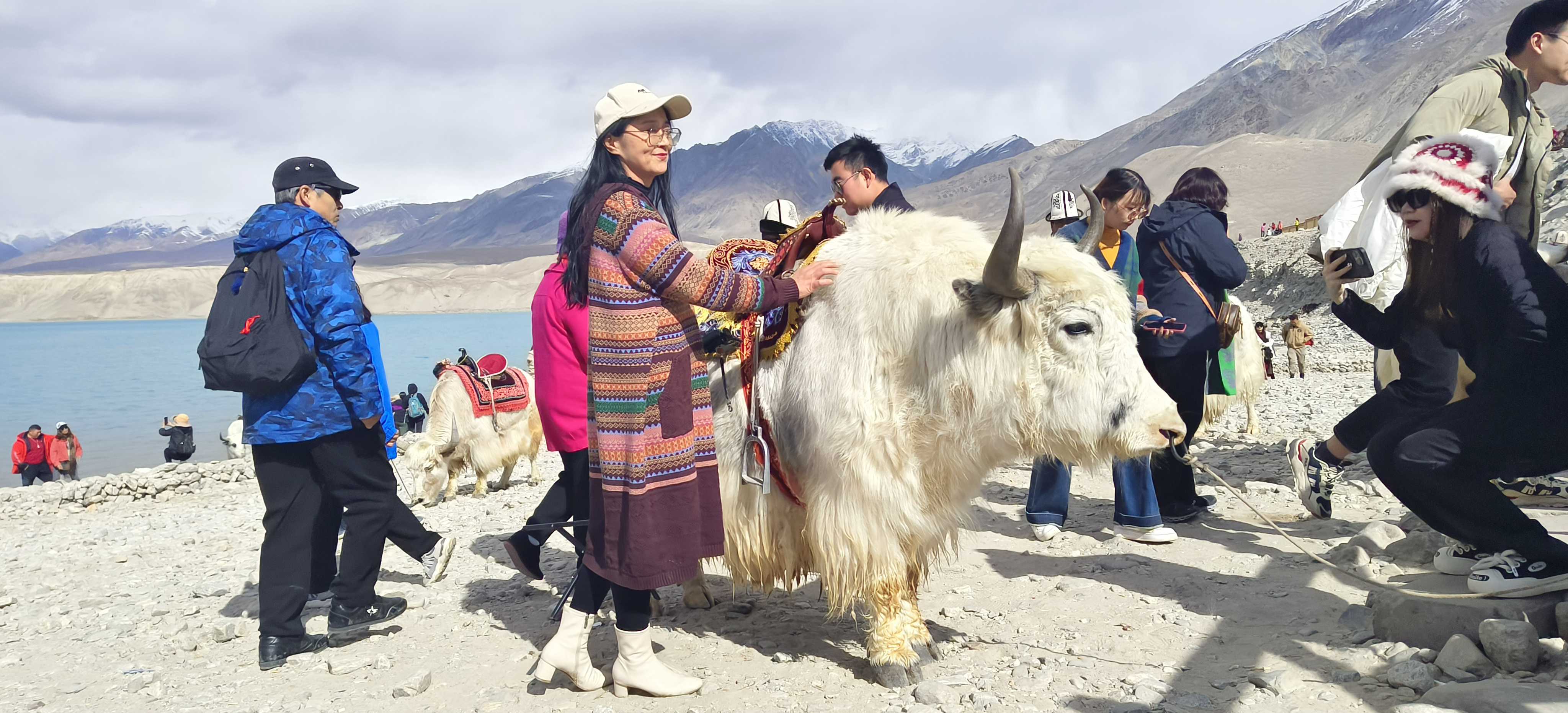新疆包車純玩｜如何找到靠譜平臺？避坑手冊+價格指南