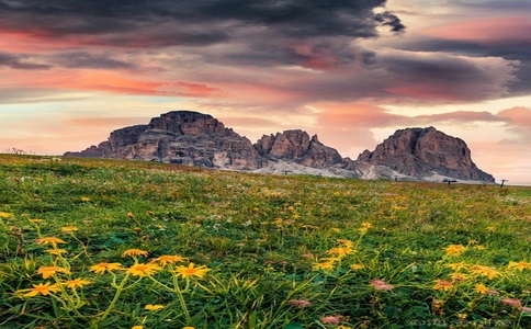 避坑指南：如何在新疆本地旅游包車時省下30%預算？