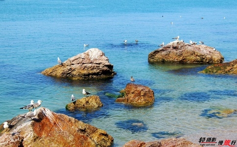 20250303_新疆3月適合旅游_20250303_113701_8031 20250303_新疆3月適合旅游_20250303_113701_8031