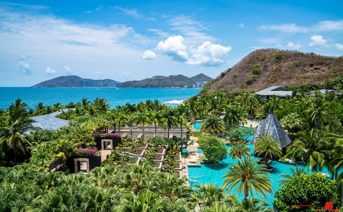 20250303_新疆旅游團多少錢一晚金色胡楊林_20250303_113700_1095 20250303_新疆旅游團多少錢一晚金色胡楊林_20250303_113700_1095