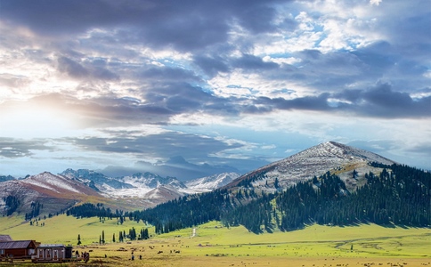 新疆旅游包車多少錢一天？2025新避坑攻略，看完立省2000塊！