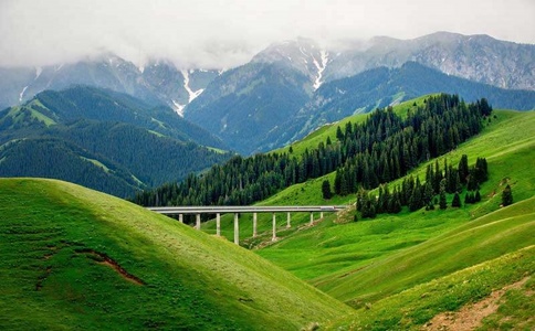 20250324_果子溝_20250324_133712_4798