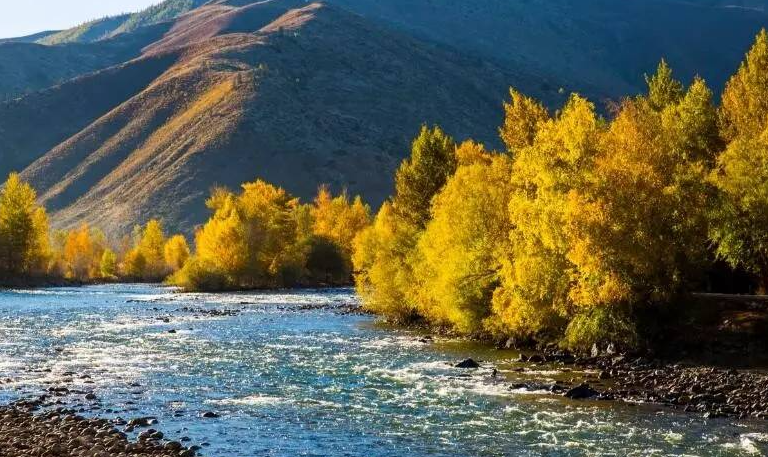 新東方快車·偏愛南北疆（至尊金鉆）