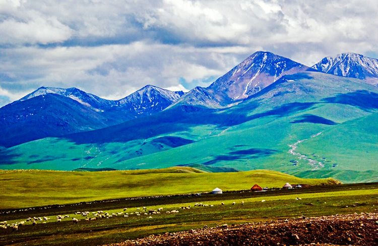 dukugongl444 dukugongl444